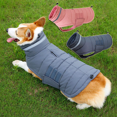 Nuovo cappotto invernale per cani vestiti impermeabili per animali domestici per cani di taglia media di taglia media gilet per cani addensato caldo giacca Labrador personalizzata - Gufetto Brand 