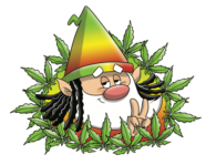 MARIJUANOLO