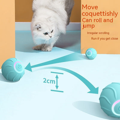 Giocattoli intelligenti per gatti Palla rotolante Proprietario di gatti domestici Giocattoli interattivi per animali domestici Palla che rimbalza automaticamente USB Ciao Prendere in giro i gattini Palla da salto - Gufetto Brand 