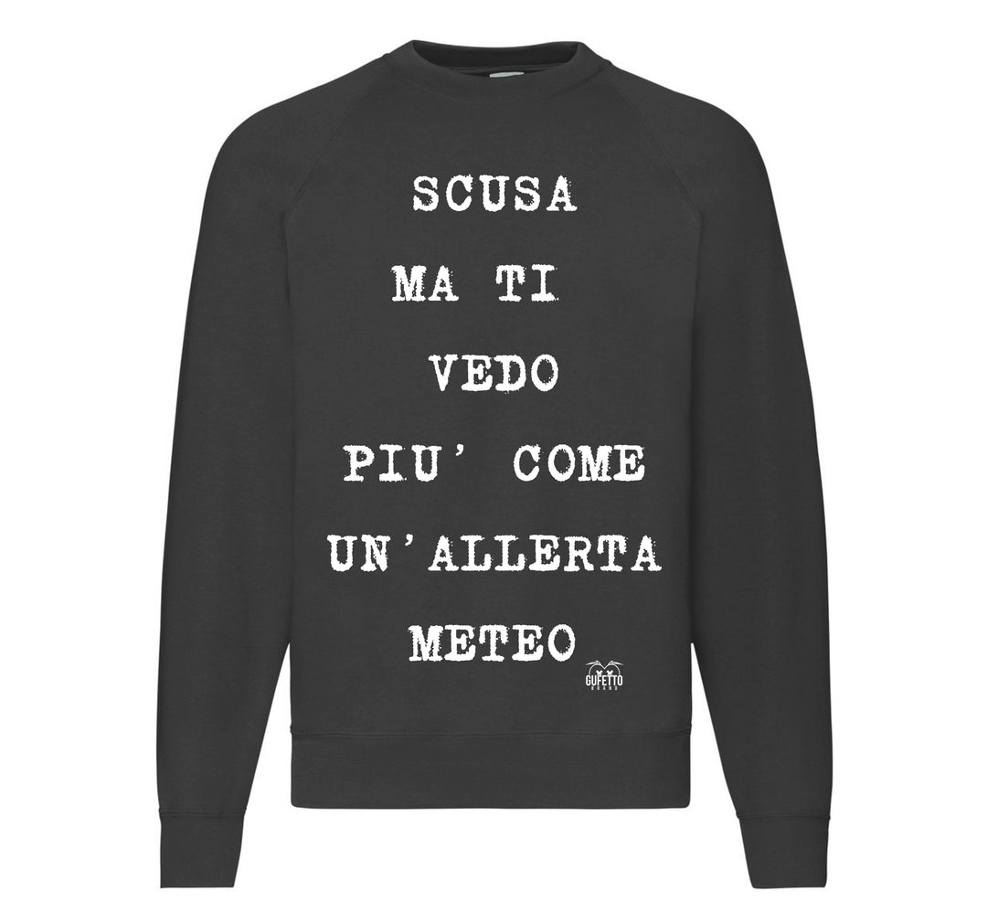 Felpa Classic Uomo Donna ALLERTA METEO ( AL50985647 ) - Gufetto Brand 