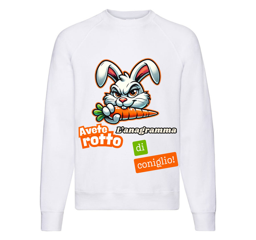 Felpa Classic Uomo Donna ANAGRAMMA ( AN0945234 ) - Gufetto Brand 