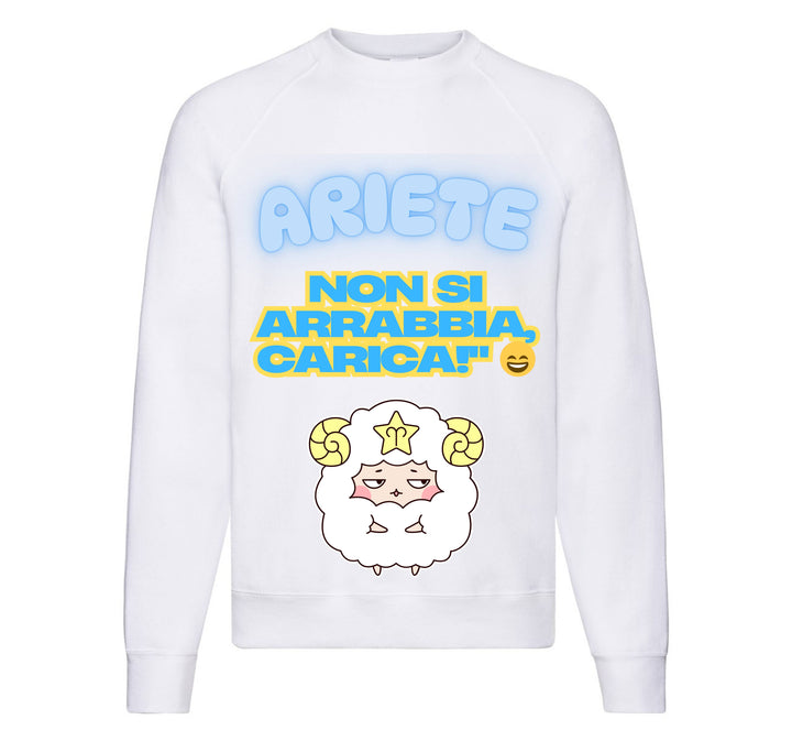 Felpa Classic Uomo Donna ARIETE ( AR65709876 ) - Gufetto Brand 
