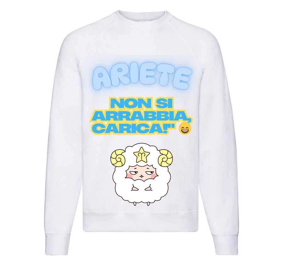 Felpa Classic Uomo Donna ARIETE ( AR65709876 ) - Gufetto Brand 