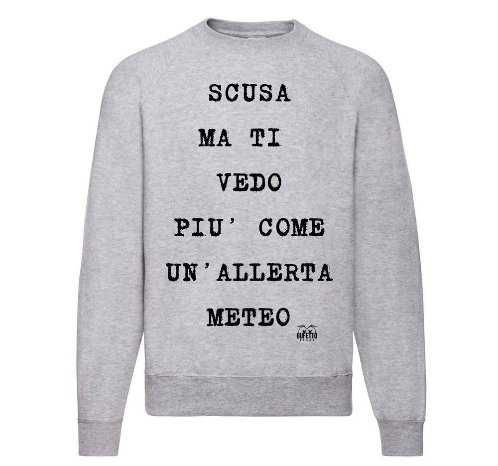 Felpa Classic Uomo Donna ALLERTA METEO ( AL50985647 ) - Gufetto Brand 