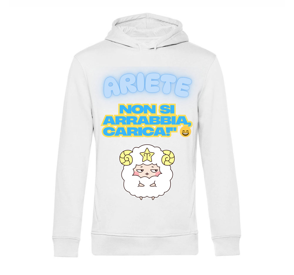 Felpa Uomo ARIETE ( AR65709876 ) - Gufetto Brand 