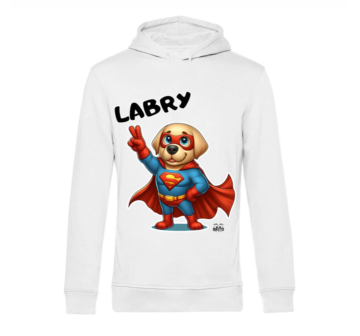 Felpa Uomo LABRY SUPER EROE ( LA1364978569 ) - Gufetto Brand 