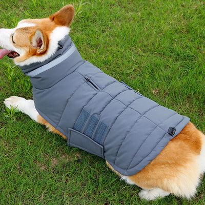 Nuovo cappotto invernale per cani vestiti impermeabili per animali domestici per cani di taglia media di taglia media gilet per cani addensato caldo giacca Labrador personalizzata - Gufetto Brand 