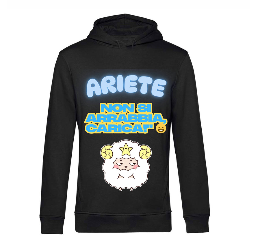 Felpa Uomo ARIETE ( AR65709876 ) - Gufetto Brand 