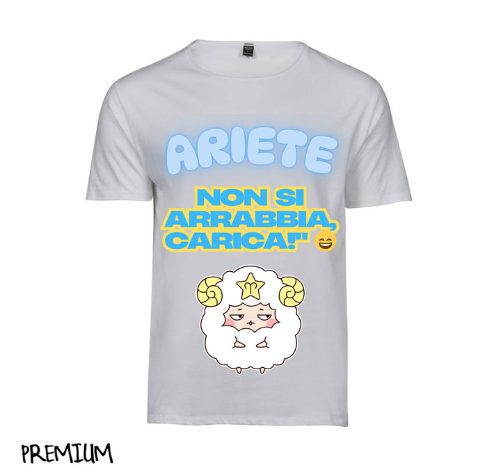 T-shirt Uomo ARIETE ( AR65709876 ) - Gufetto Brand 