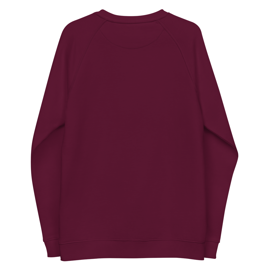 Felpa raglan in tessuto organico unisex GUFETTO OCCHI BIANCHI - Gufetto Brand 