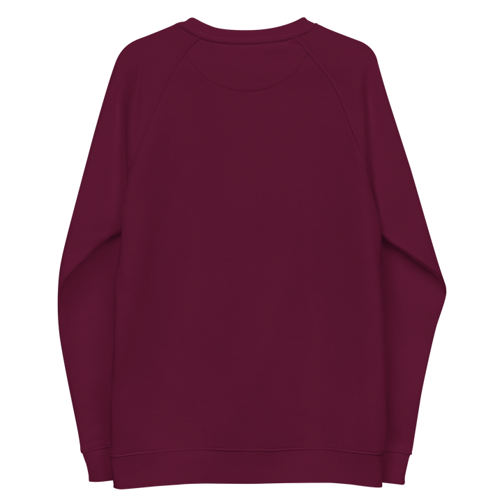 Felpa raglan in tessuto organico unisex GUFETTO OCCHI BIANCHI - Gufetto Brand 