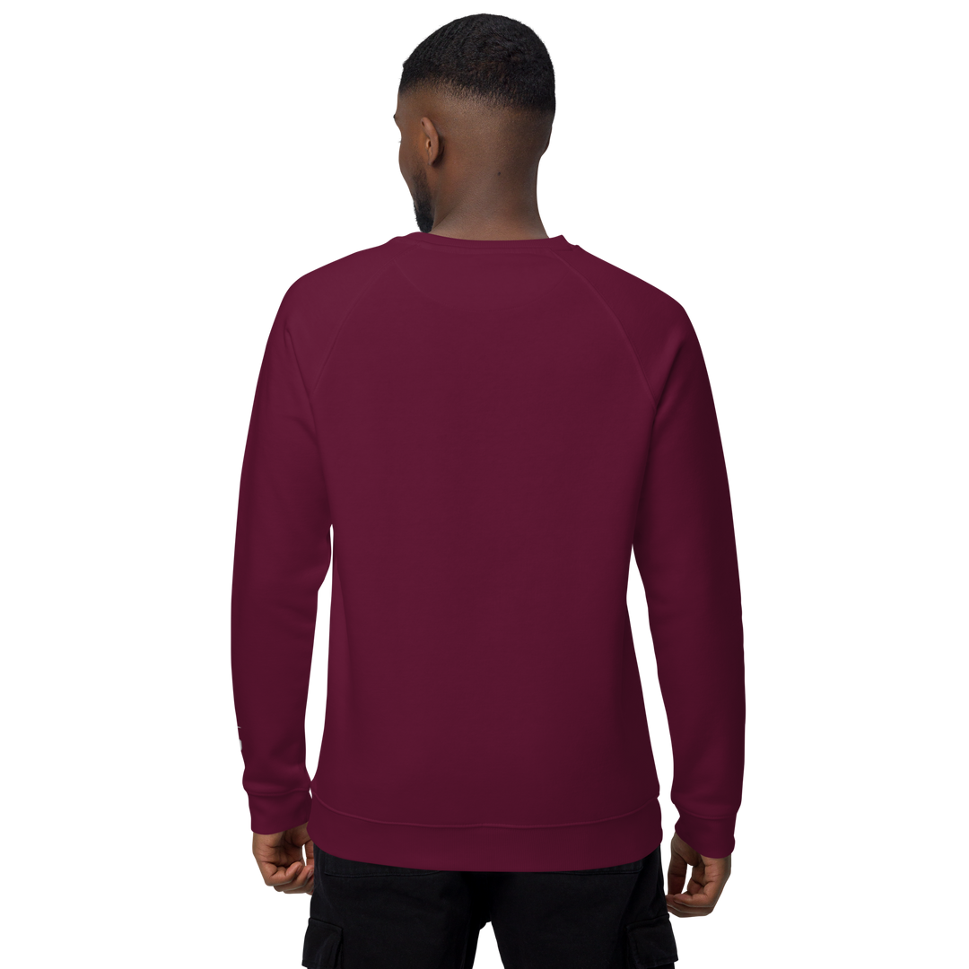 Felpa raglan in tessuto organico unisex GUFETTO OCCHI BIANCHI - Gufetto Brand 