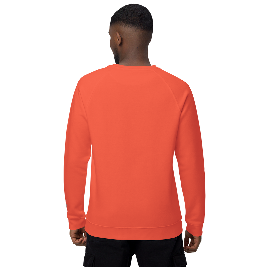 Felpa raglan in tessuto organico unisex GUFETTO OCCHI BIANCHI - Gufetto Brand 