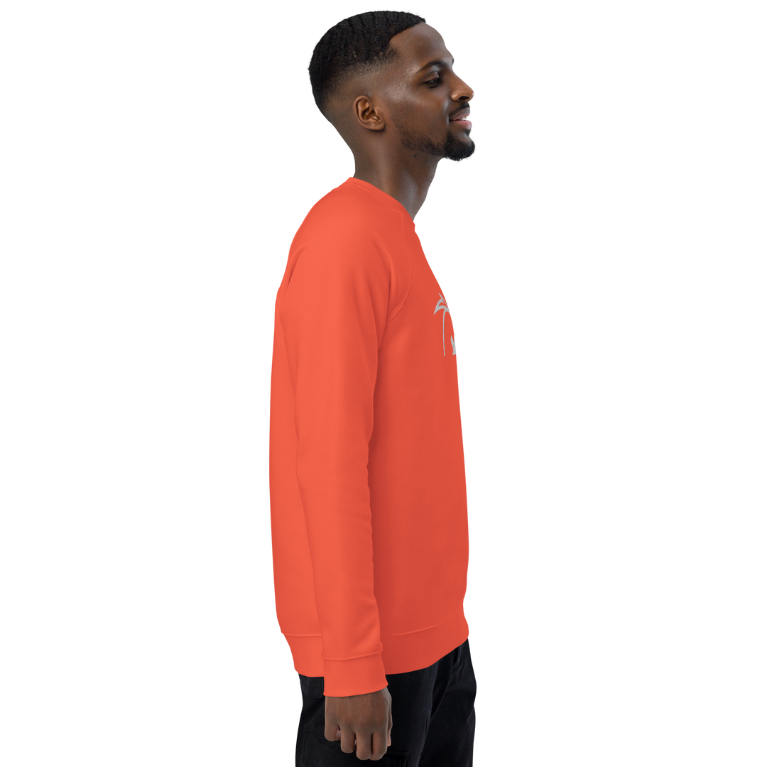 Felpa raglan in tessuto organico unisex GUFETTO OCCHI BIANCHI - Gufetto Brand 