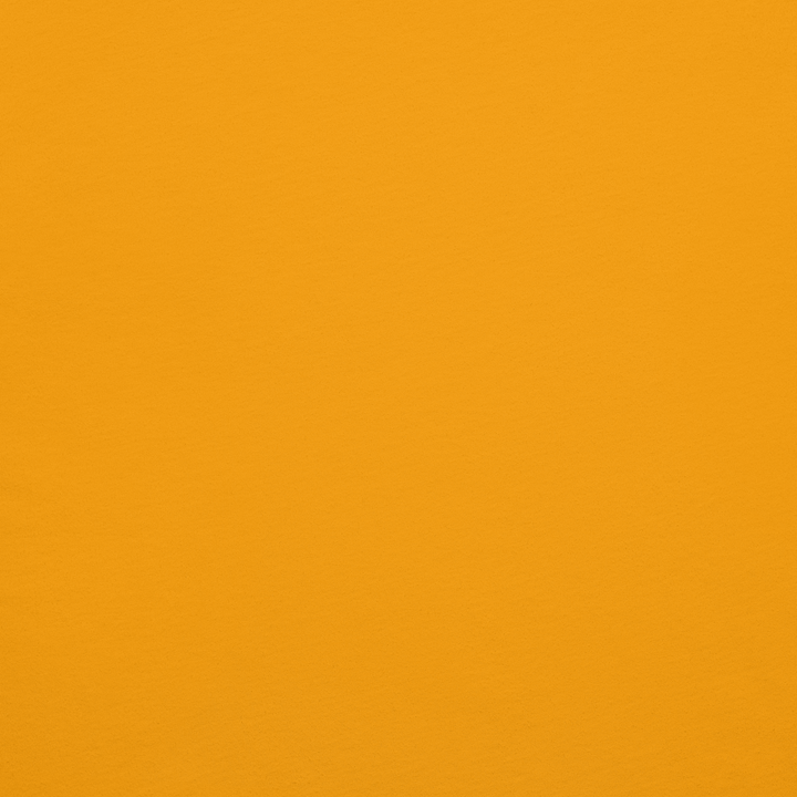 Maglietta Uomo Spritzolo Orange Edition - Gufetto Brand 