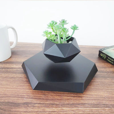 Floating Magnetic Levitating Flower Pot Bonsai  Air Plant Pot Planter Potted For Home Office Desk Decor Creative Gift - Gufetto Brand 
