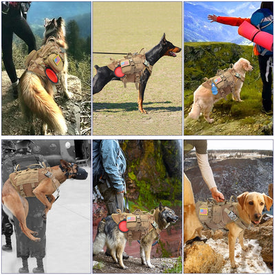 Imbracatura tattica per cani militare senza imbracatura per animali domestici gilet per cani di taglia media addestramento escursionismo imbracatura per cani Molle con sacchetti - Gufetto Brand 