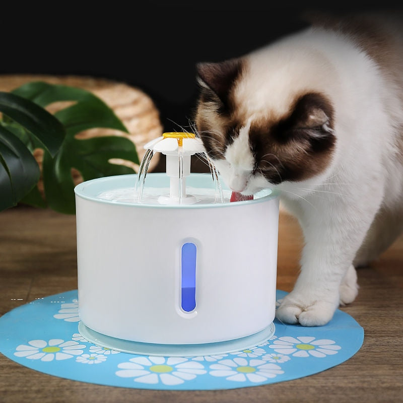 Cat Water Fountain Cat Water Dispenser Pet Accessories Cat Drinking Fountain Automatic Circulation Pet Fountain Water Bottle - Gufetto Brand 