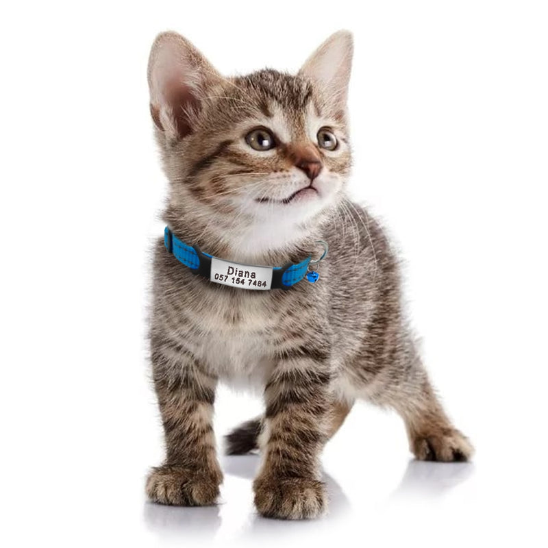 Collare per gatti in nylon Collari per animali domestici personalizzati con targhetta identificativa per nome Collare per gattino Chihuahua riflettente Collana per animali domestici Accessori per cani - Gufetto Brand 