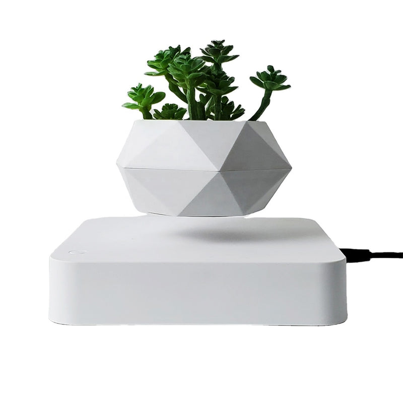 Levitating Air Bonsai Pot Rotation Flower Pot Planters Magnetic  Suspension Floating Pot Potted Plant Home Desk Decor - Gufetto Brand 