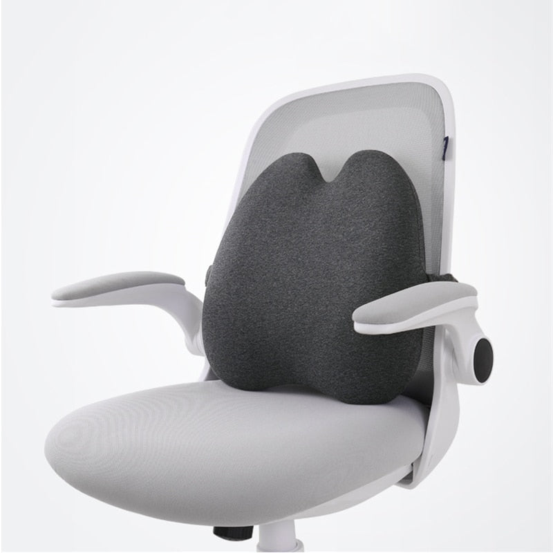 Cuscino per sedia con supporto lombare in Memory Foam cuscino per sedile  ortopedico per set di